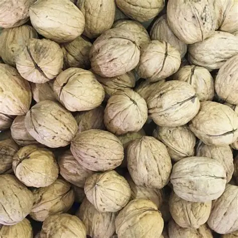 Chilean Walnuts